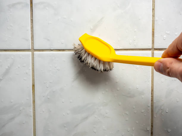 Best Mold Removal Company Near Me  in Paducah, KY