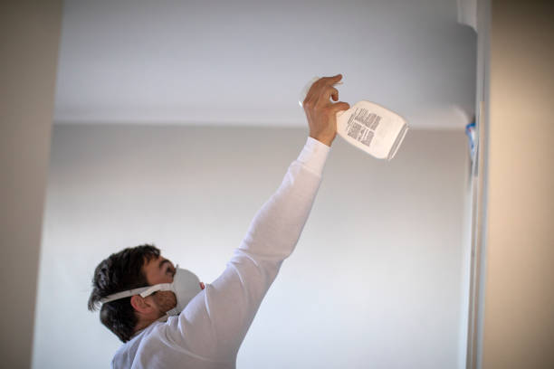 Best Commercial Mold Removal  in Paducah, KY