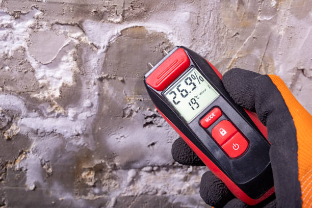 Best Office Mold Removal Services  in Paducah, KY