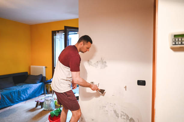 Best Crawl Space Mold Removal  in Paducah, KY